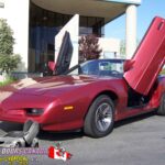 Pontiac Firebird/Trans Am 1982-1992 Lambo Vertical Doors Kit ( Special Order ) - VDCPONFIRE8292
