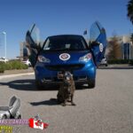Smart Fortwo 451 2008-2014 Lambo Vertical Doors Kit - VDCSMART420810 - Image 33
