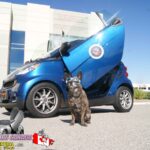 Smart Fortwo 451 2008-2014 Lambo Vertical Doors Kit - VDCSMART420810 - Image 19