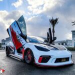 Tesla Model 3 2017-2024 Lambo Vertical Doors Kit - VDCTES317 - Image 11